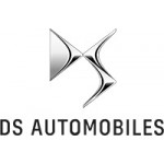 Online DS Diamond Car Mats